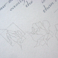 levin_pencil roses