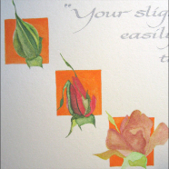 levin_W-rose-under-orange
