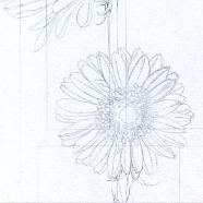 gerbera_project-pencil blocking