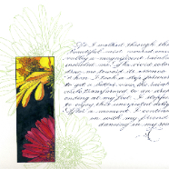 gerbera_project-final top portion