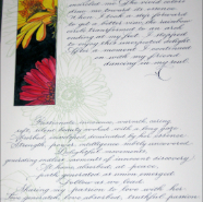 Gerbera finished whole