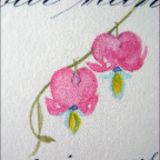 bleeding heart beginning-bottom