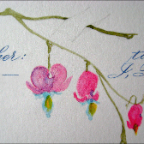 bleeding heart beginning-top