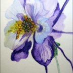 columbine finished