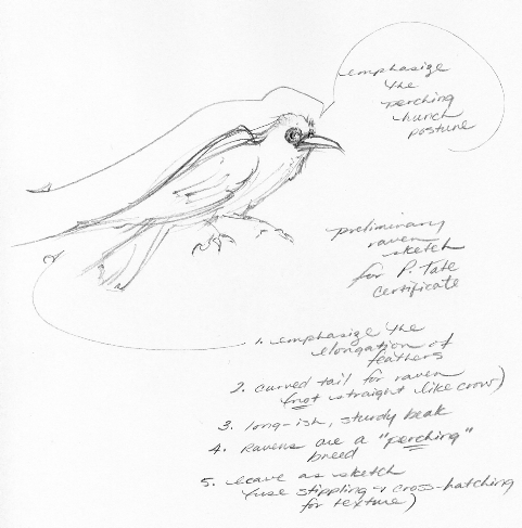 raven sketch for PTate