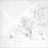 Winters Dragon in pencil layout