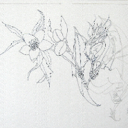 Winters Dragon_partial inking-border
