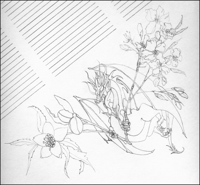 Loading Image