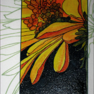 Gerbera yellow detail